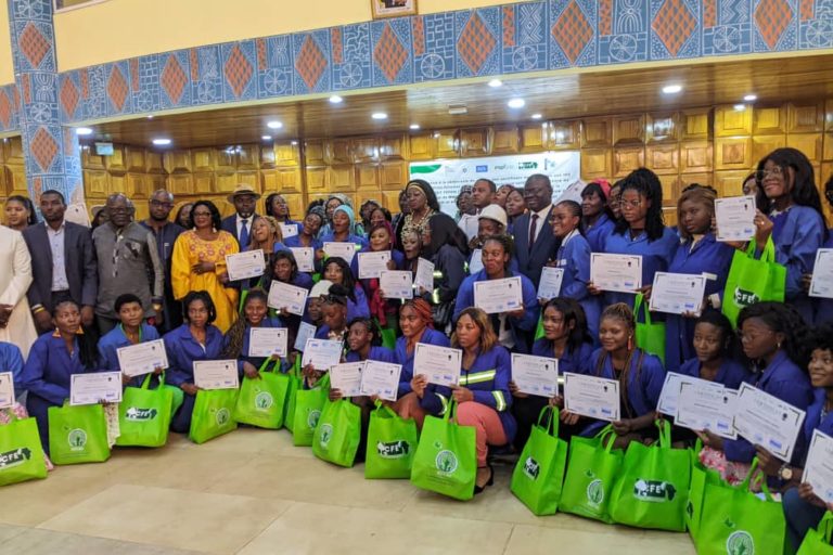 REMISE DES ATTESTATIONS PROJET TEFEM